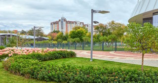Профессиональное озеленение улиц в Балашихе в октябре